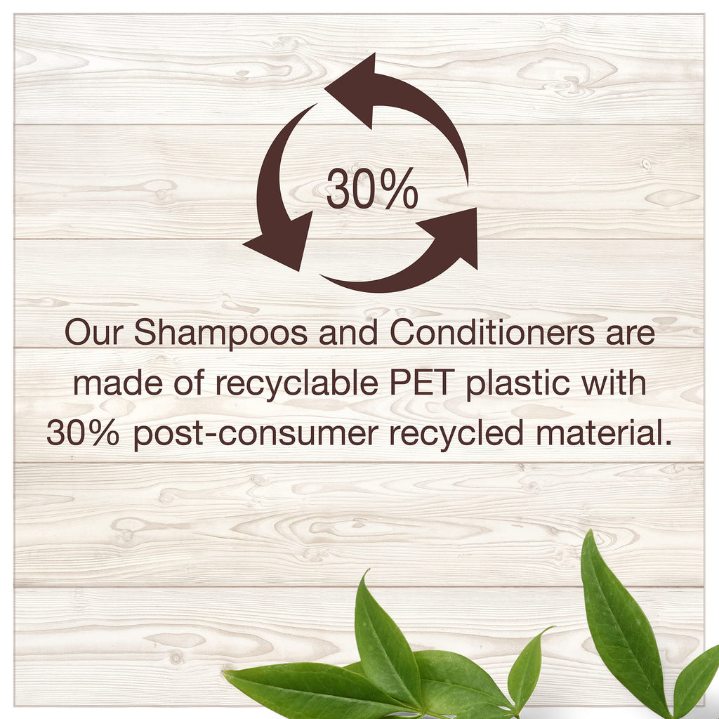 Garnier Whole Blends Shampoo and Conditioner