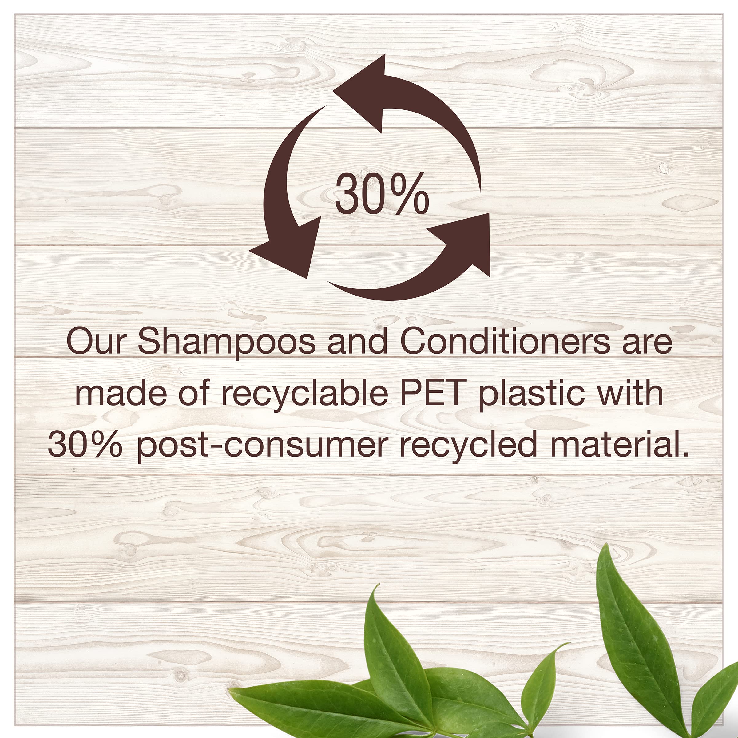 Garnier Whole Blends Shampoo and Conditioner