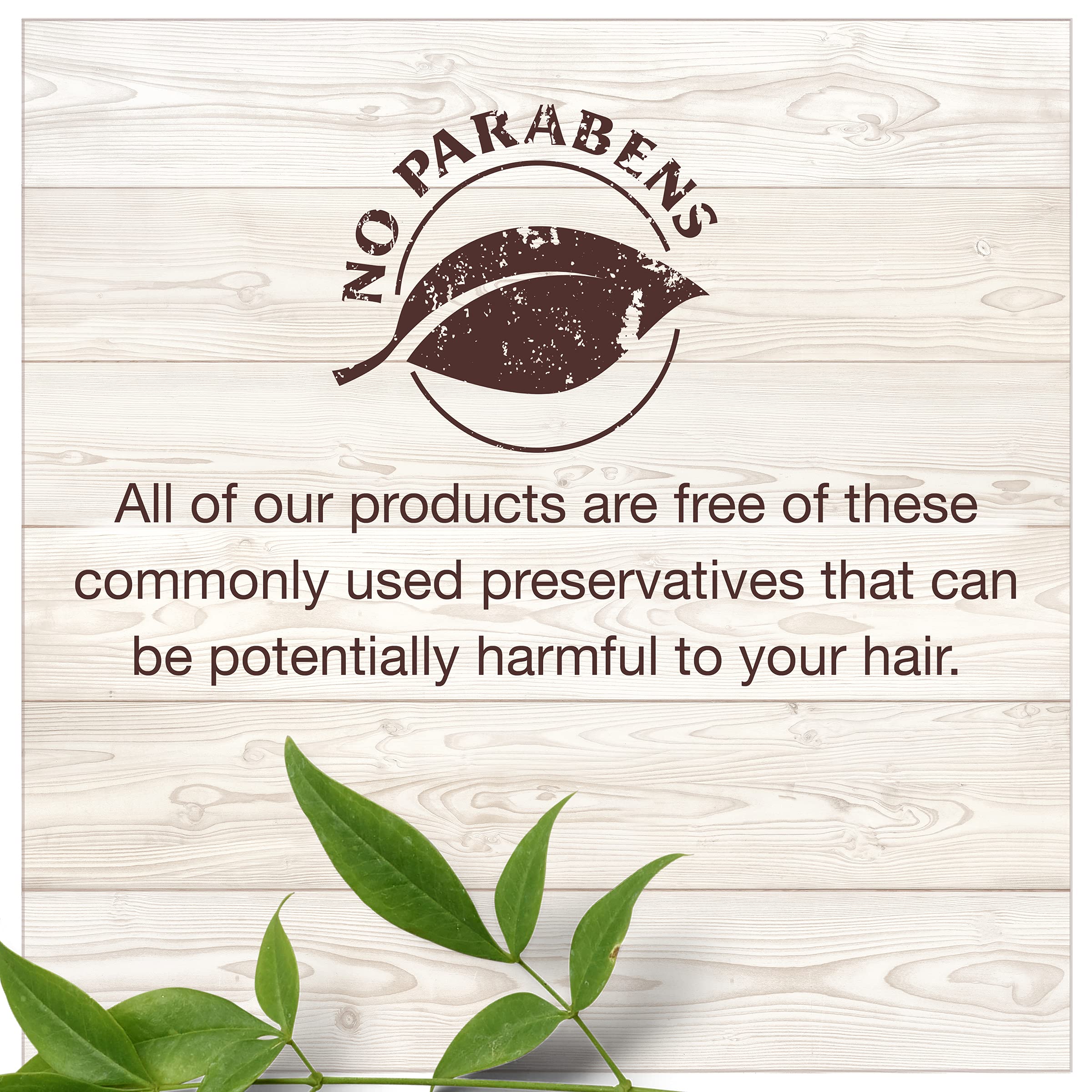 Garnier Whole Blends Shampoo and Conditioner