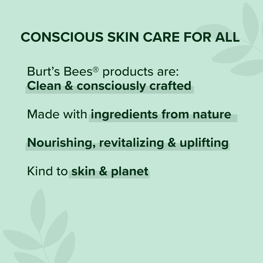 Burt's Bees 100% Natural Mattifying Powder Foundation