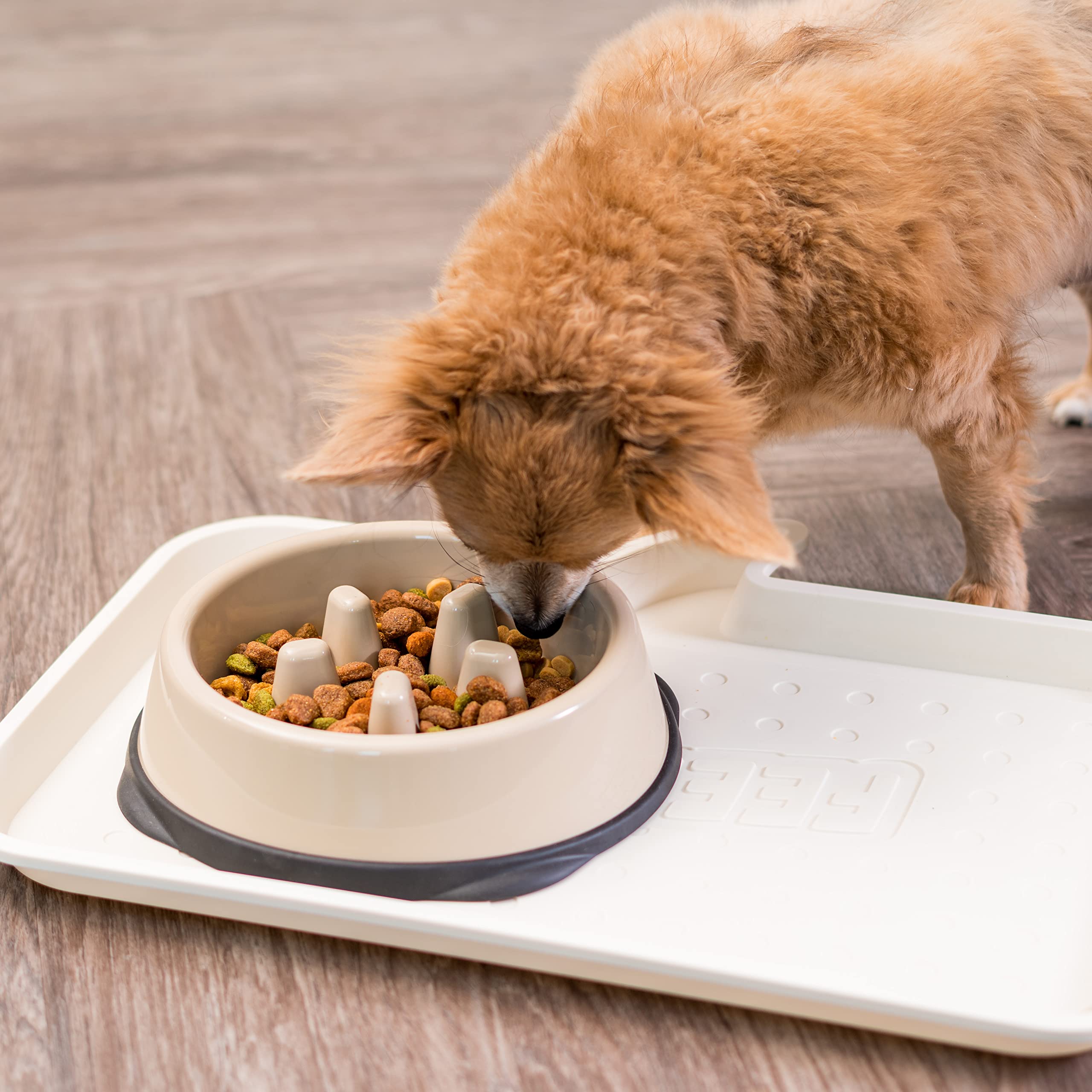 IRIS USA Non Slip Slow Feeder Dog Bowl - Non Slip Dog Puzzle Bowl