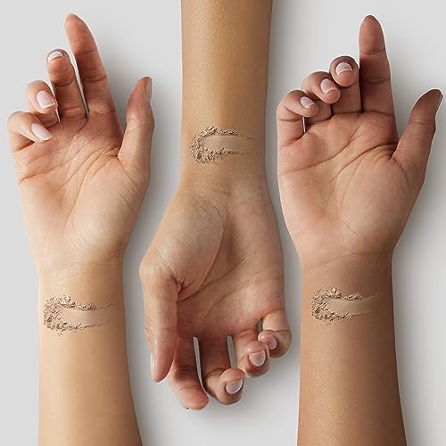 L'Oreal Paris True Match Naturale Gentle Mineral Concealer, 0.07 Ounce