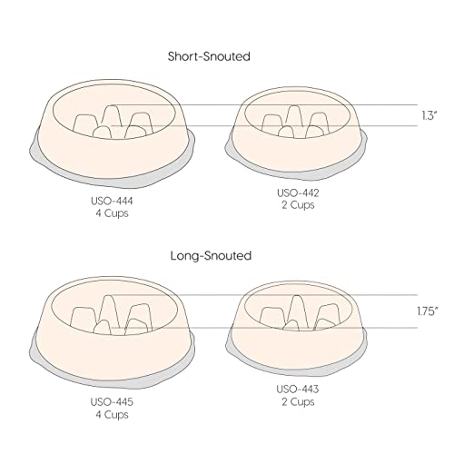 IRIS USA Non Slip Slow Feeder Dog Bowl - Non Slip Dog Puzzle Bowl
