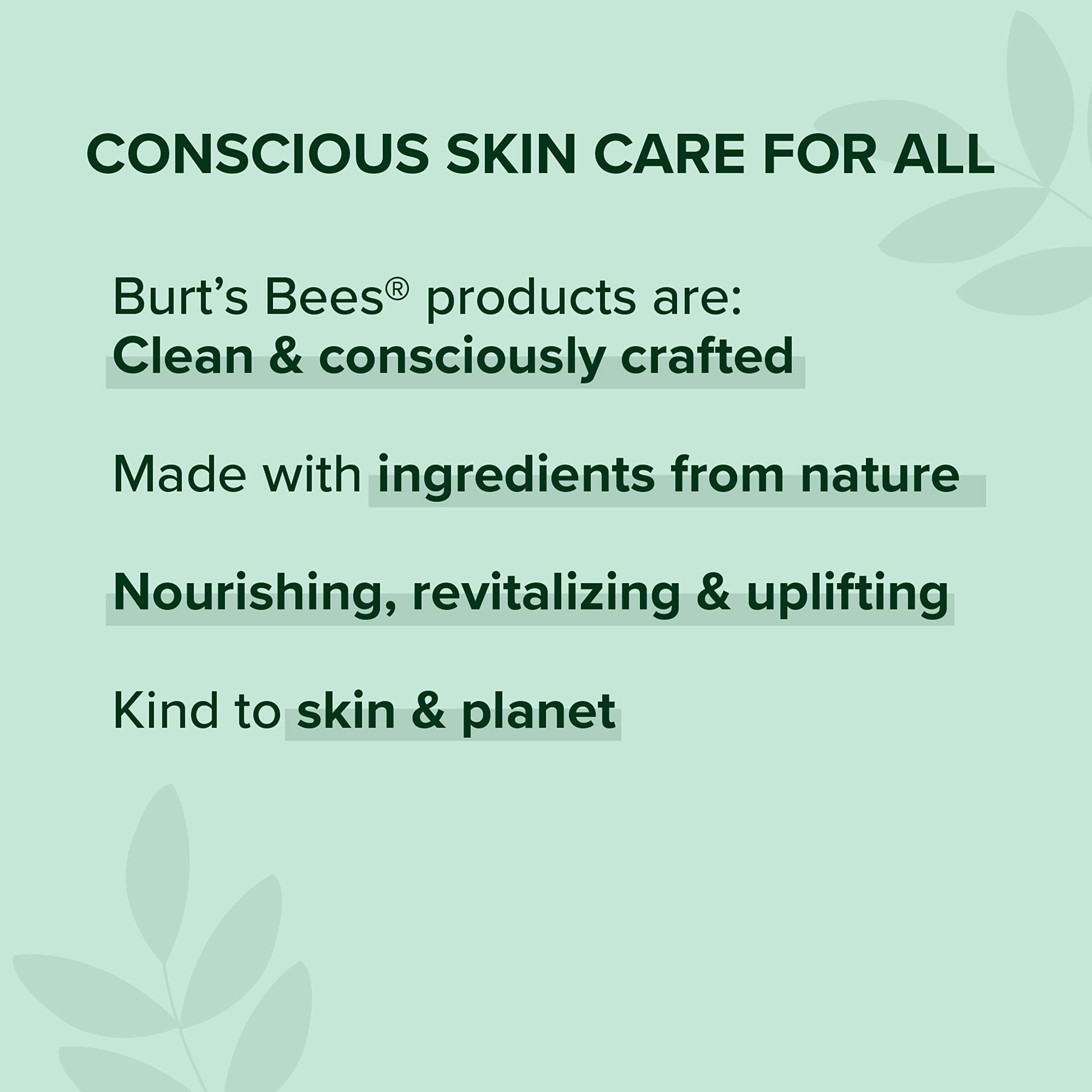 Burt's Bees 100% Natural Mattifying Powder Foundation