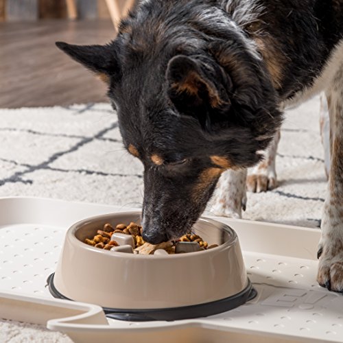 IRIS USA Non Slip Slow Feeder Dog Bowl - Non Slip Dog Puzzle Bowl